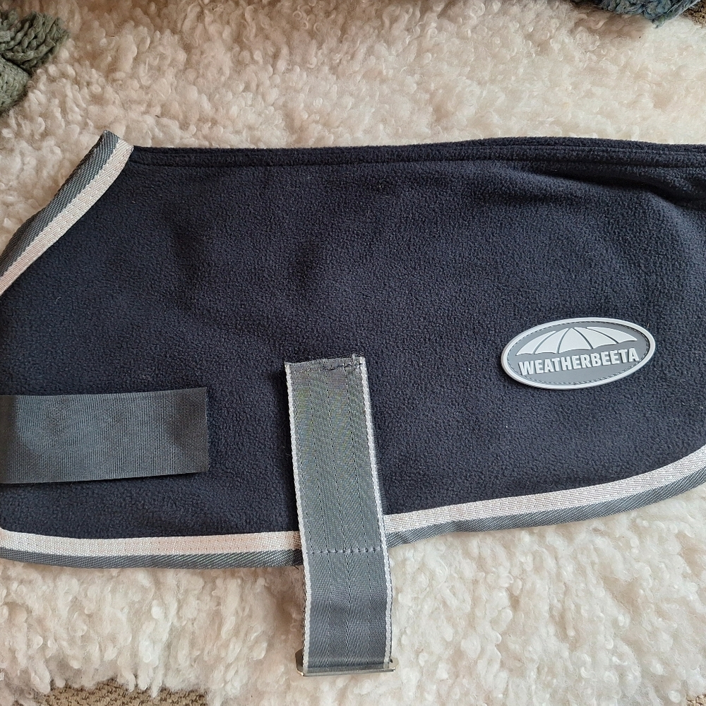 Dog fleece blanket